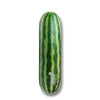 SkatePal x Watermelon deck 8.5